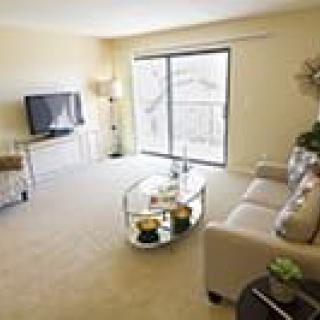 A bright and modern living room with a comfortable sofa, a TV, and a coffee table next to a sliding glass door.