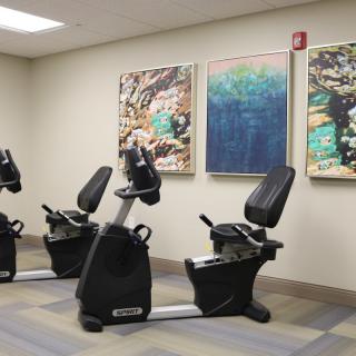 A gym with exercise bikes and colorful artwork on the walls.