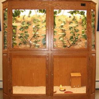 A wooden terrarium designed for housing reptiles or small animals, featuring naturalistic foliage and a sand substrate.