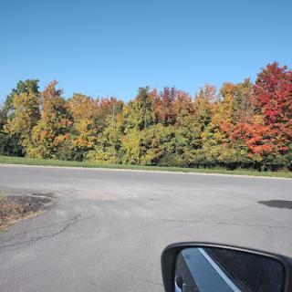 A picturesque view of colorful autumn trees under a clear blue sky.