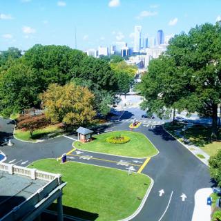 A view of a vibrant urban landscape featuring greenery and a glimpse of the city skyline in the background.