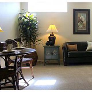 A cozy living room with a sofa, table, chairs, decorative plant, and warm lighting.