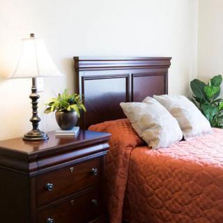 A cozy bedroom with a wooden headboard, orange bedding, and decorative pillows beside a nightstand with a lamp and plant.