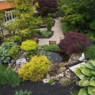 A beautifully landscaped garden featuring a small pond, lush greenery, and a winding pathway.