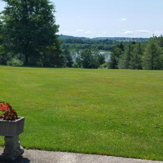 A beautiful outdoor scene with a lush green lawn, trees, and a flower pot.