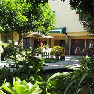 A tranquil residential garden with a patio area shaded by trees and greenery.