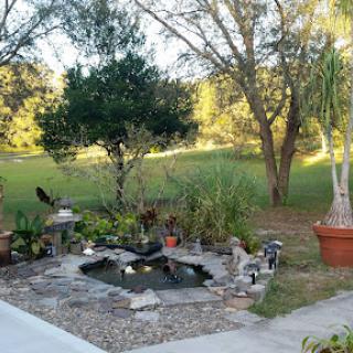 A serene garden scene featuring a variety of plants and trees, set against a tranquil landscape.