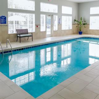 An indoor swimming pool with large windows and a plant in the corner.