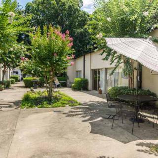 A sunny courtyard with lush greenery and patio furniture.