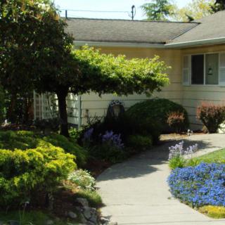A charming house surrounded by a beautifully landscaped garden with a winding pathway.