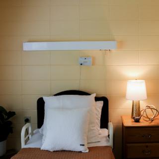 A cozy bedroom setup featuring a neatly made bed, bedside lamp, and decorative plant.