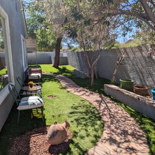 A sunny backyard with a green lawn, trees, and a stone pathway alongside outdoor furniture.