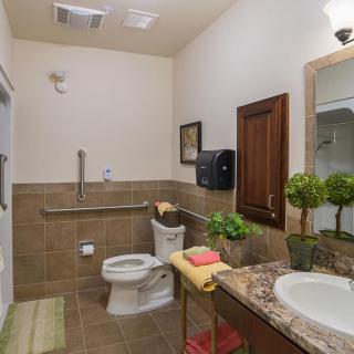 A well-lit, accessible bathroom featuring a toilet with handrails, a sink with a marble countertop, and decorative plants.