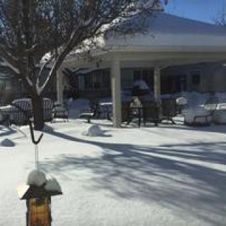 A snow-covered backyard with a patio and trees, basking in the winter sunlight.