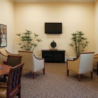 A cozy waiting room with chairs, a television, and decorative plants.