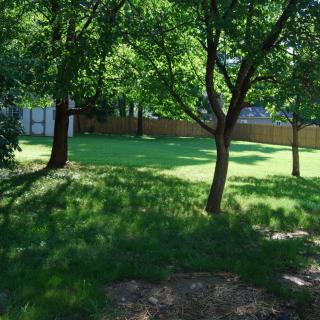 A sunny backyard with lush trees and a well-maintained lawn.