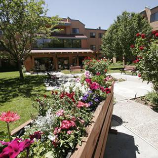 A scenic garden with colorful flowers and a winding pathway under clear skies.