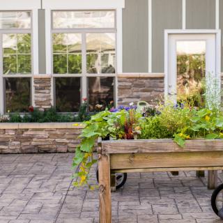 A garden scene with a raised bed on a paved patio in front of a building with large windows.