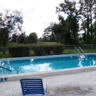 An outdoor swimming pool surrounded by trees and a fence, with a deck chair nearby under a cloudy sky.