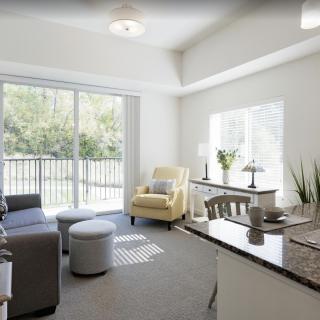 A modern living room with abundant natural light, featuring a comfortable sofa, armchair, and decorative plants.