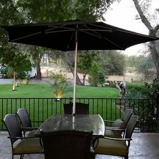 A peaceful patio setting with a table and chairs under a large umbrella, surrounded by lush greenery.