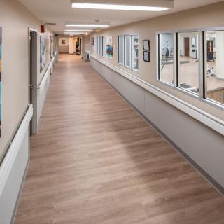 A clean and well-lit hospital hallway with large windows.