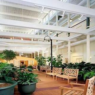 A tranquil indoor garden with benches and lush green plants under a skylit ceiling.