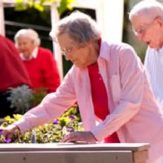 Seniors enjoying a gardening activity outdoors.