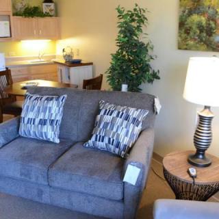 A cozy living room with a gray sofa, patterned cushions, and a lit lamp on a side table, complemented by an indoor plant and dining area.