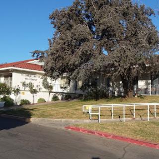 A view of a building surrounded by greenery and a large tree.