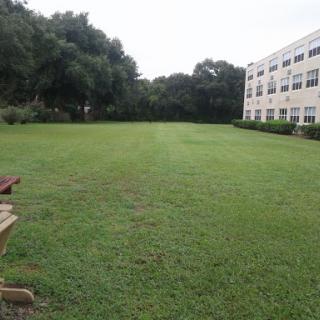A spacious green lawn in front of a building, inviting for outdoor activities.