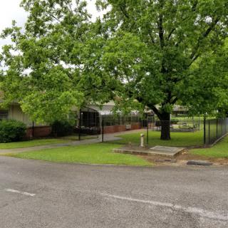 A peaceful view of a residential area with a large tree and well-maintained lawn.