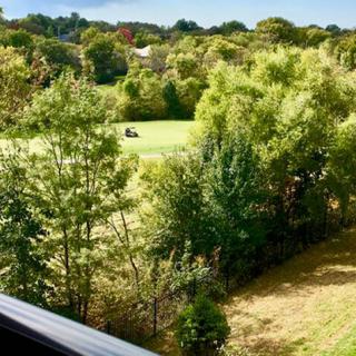 A scenic view of a lush green landscape with trees and rolling hills.