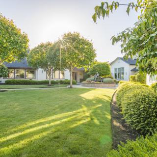 A beautiful backyard with a well-maintained lawn, surrounded by trees and landscaping, under warm sunlight.