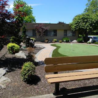 A well-maintained garden with a bench and pathway on a sunny day.