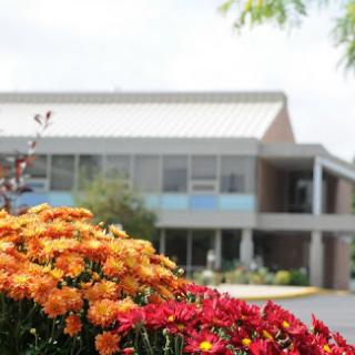 A vibrant display of orange and red flowers in front of a modern building.
