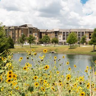 A scenic view of a building by a lake with wildflowers in the foreground and a partly cloudy sky.