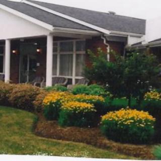 A residential home with a well-maintained garden featuring yellow flowers.