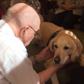An elderly person interacting with a dog indoors, showing affection.
