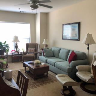 A cozy living room with a sofa, armchair, and coffee table surrounded by lamps and indoor plants.