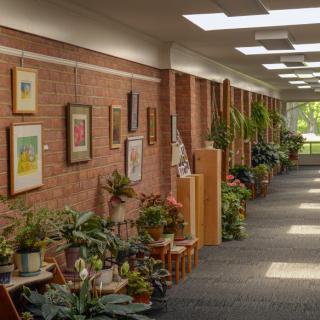 A well-lit hallway adorned with indoor plants and various artworks on a brick wall.