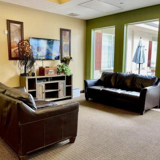 A cozy living room with sofas and a television, decorated with indoor plants and artwork, well-lit by natural light from large windows.