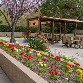 A beautifully landscaped garden with colorful flowers and an outdoor seating area under a pergola.