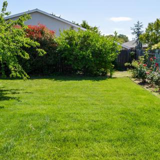 A sunlit backyard with a lush green lawn and surrounding trees.