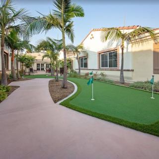 A serene outdoor area featuring a putting green, surrounded by palm trees and a well-maintained pathway.
