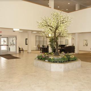 A spacious lobby with a decorative tree and seating area.