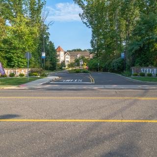 A quiet residential street with a crosswalk and lush greenery leading to a large building in the background.