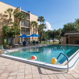 A sunny day at a hotel pool surrounded by palm trees.