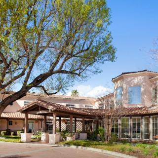 A sunlit building entrance surrounded by greenery and a large tree.