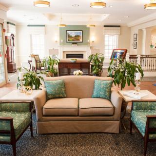 A cozy living room with a comfortable sofa, chairs, coffee table, and indoor plants creating a welcoming atmosphere.